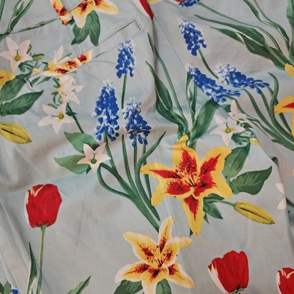 New York & Company Floral Print Capris - Red and Green on Light Blue Size 6 - Picture 6 of 11